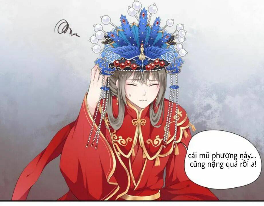 Tước Kiều Tiên: Chapter 1.1