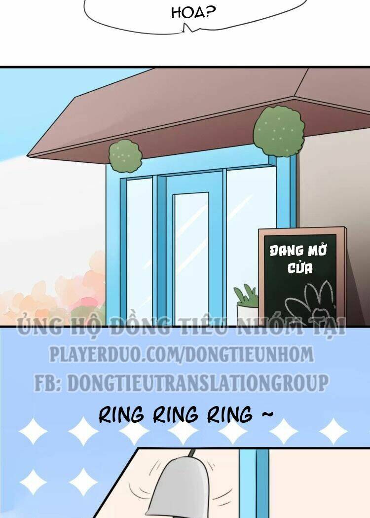 Tiểu Miêu Và Hắc Diệu Thạch: Chapter 9