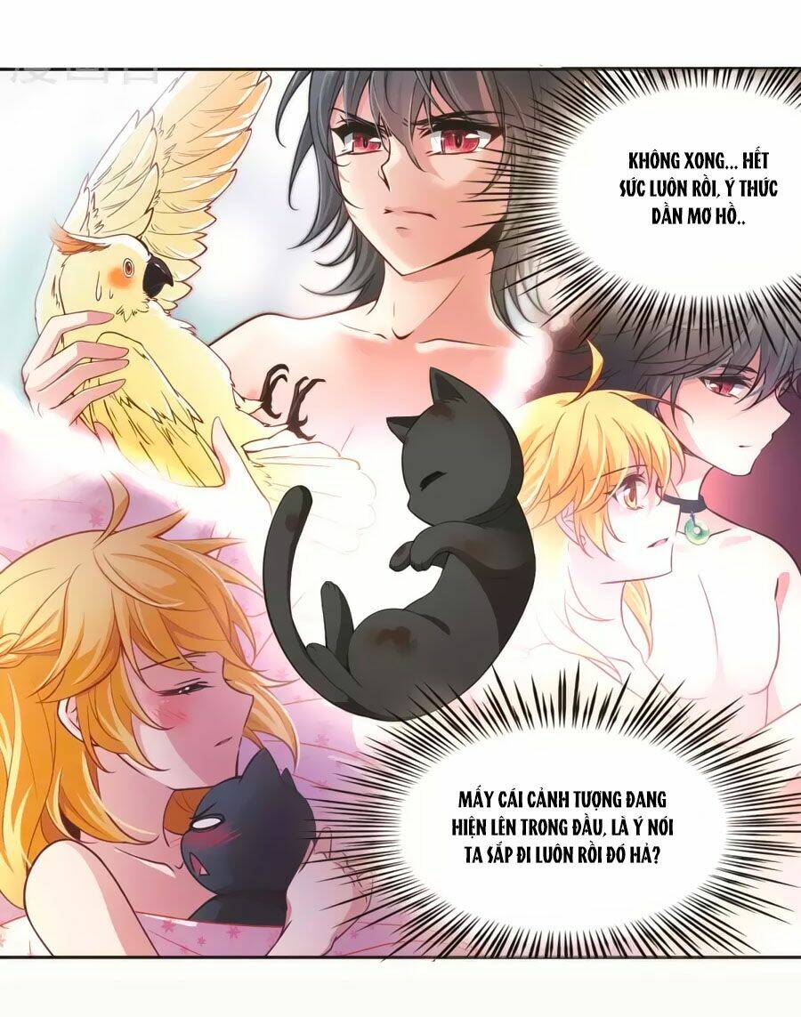 Huyền Vũ Luyến Ca: Vạn Vật Sinh Linh: Chapter 20.2