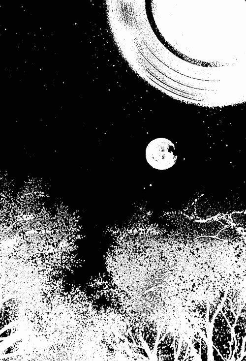 Chuyện Tình Đảo Thiên Đường: Chapter 10
