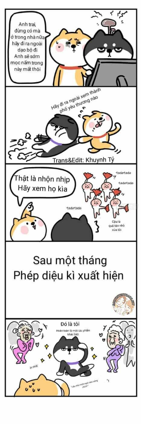 Anh Em Shiba: Chapter 4