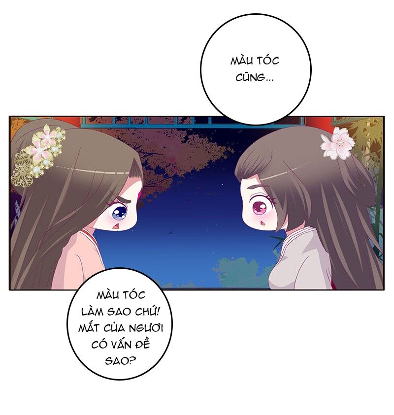 Thông Linh Phi: Chapter 340