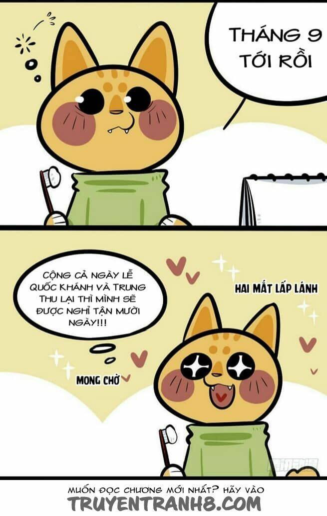 Đời Không Như Mình Tưởng: Chapter 4