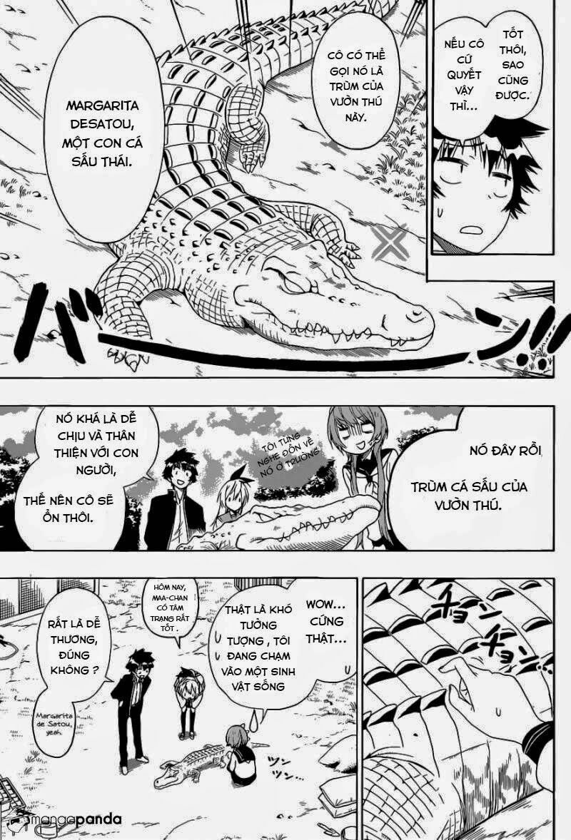 Tình Yêu Ngang Trái: Chapter 142
