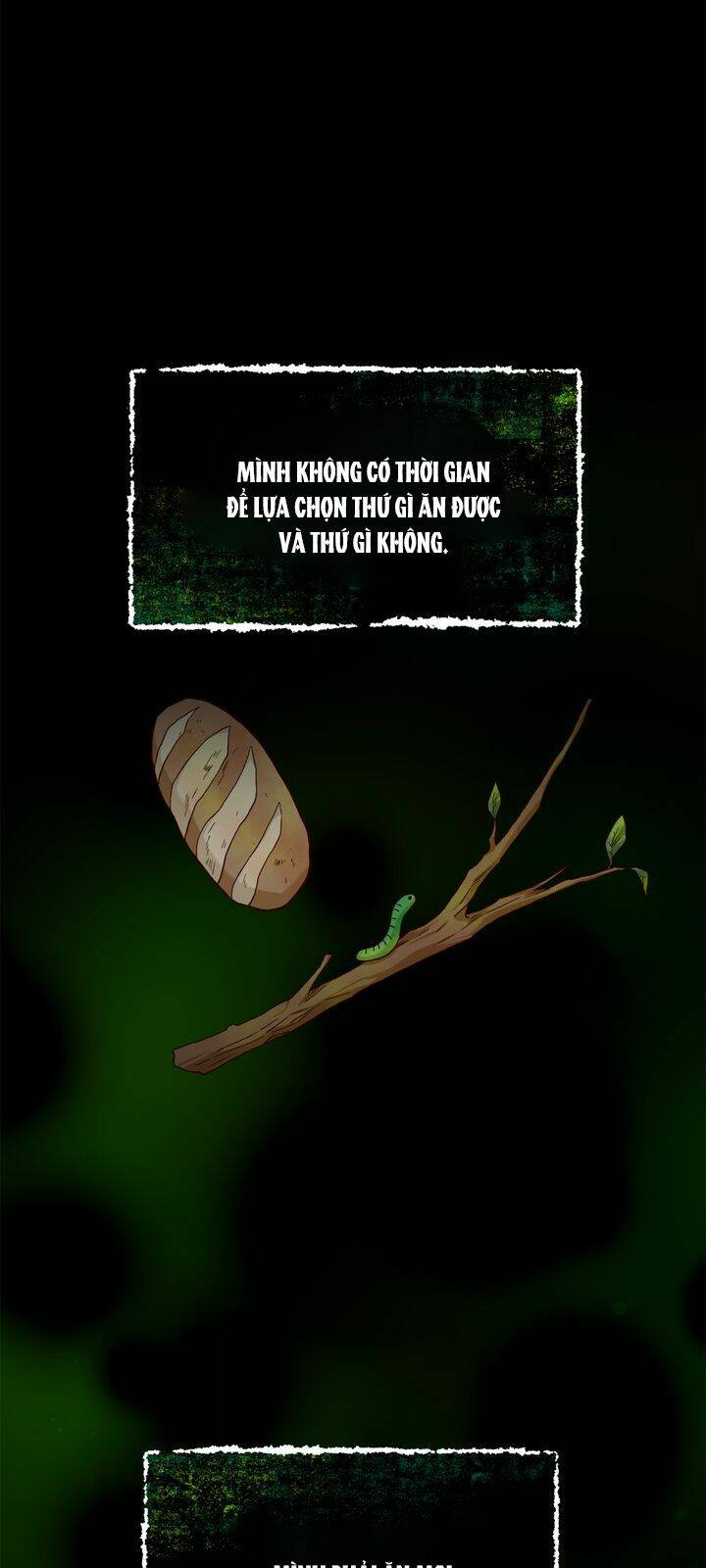 Aristité Được Ban Phước Một Lời Nguyền: Chapter 4