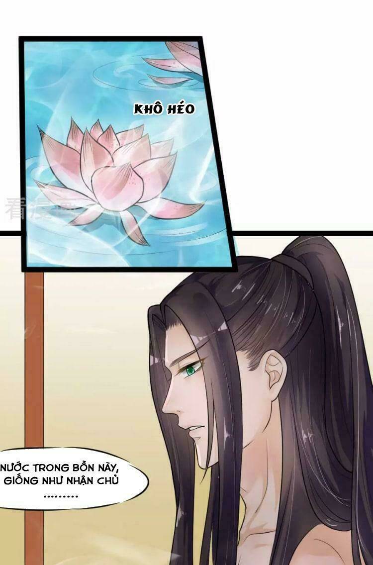 Đế Vương Sợ Vương Phi Muốn Sở Hữu Thiên Hạ: Chapter 5