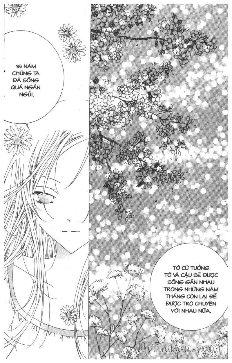 Nước Mắt Nàng Tiên Cá: Chapter 12