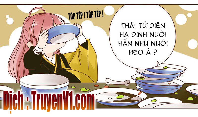 Đế Vương Trắc: Chapter 41