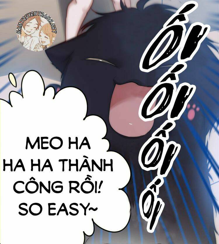 Viện Bảo Tàng Tâm Nguyện: Chapter 3.3