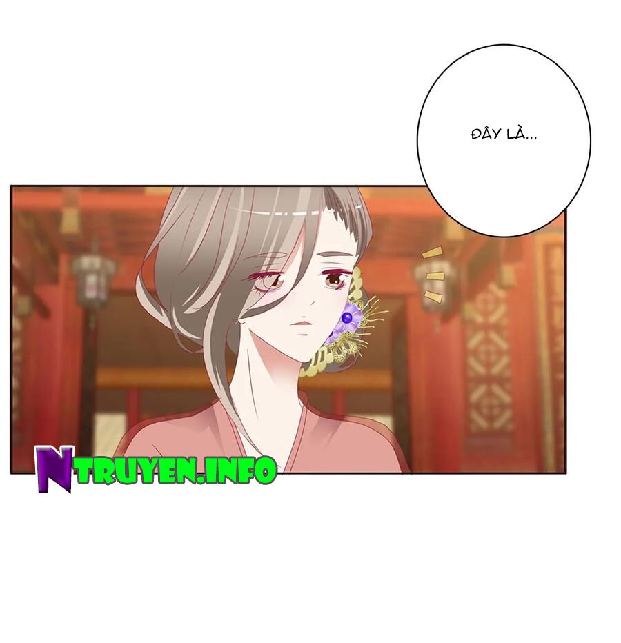 Thông Linh Phi: Chapter 564