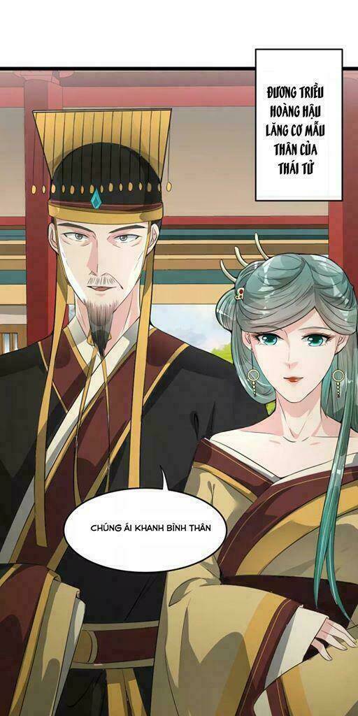 Đế Vương Sợ Vương Phi Muốn Sở Hữu Thiên Hạ: Chapter 13