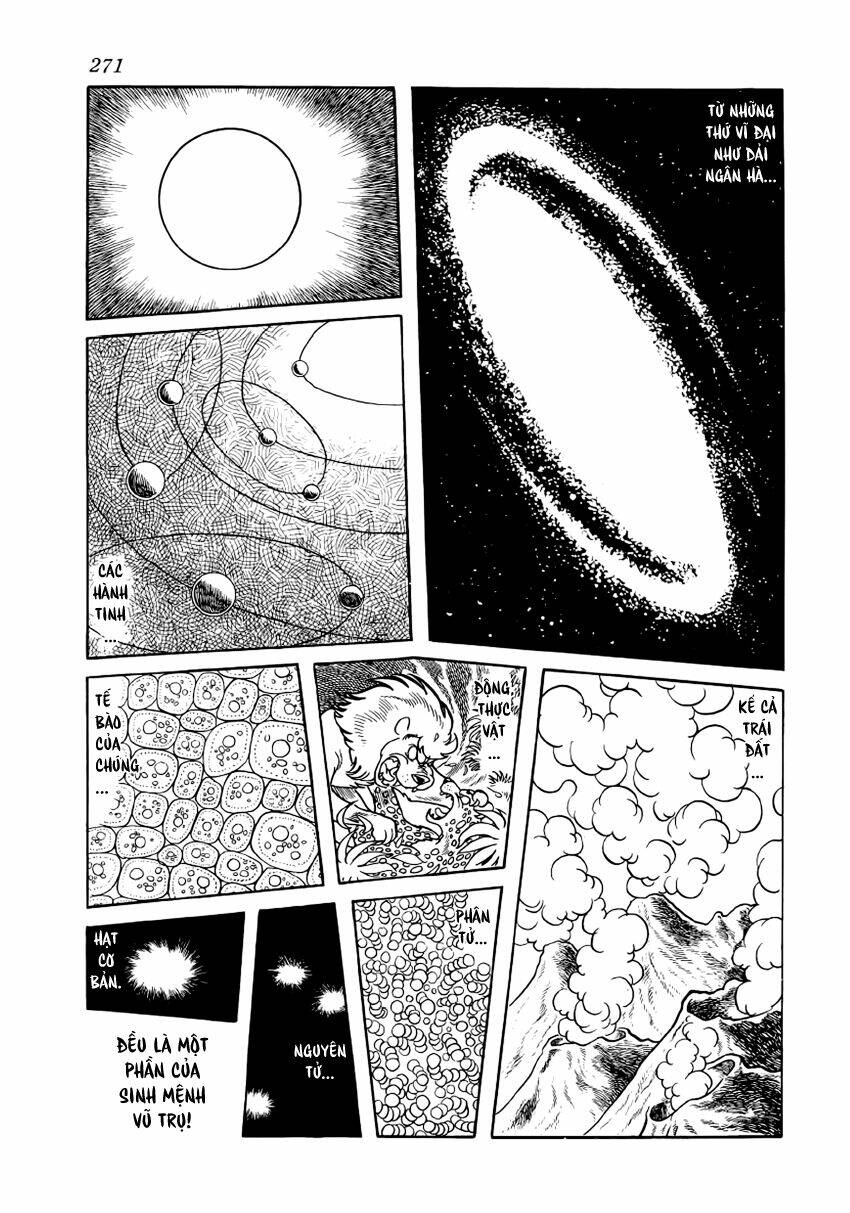 Chim Lửa: Chapter 30