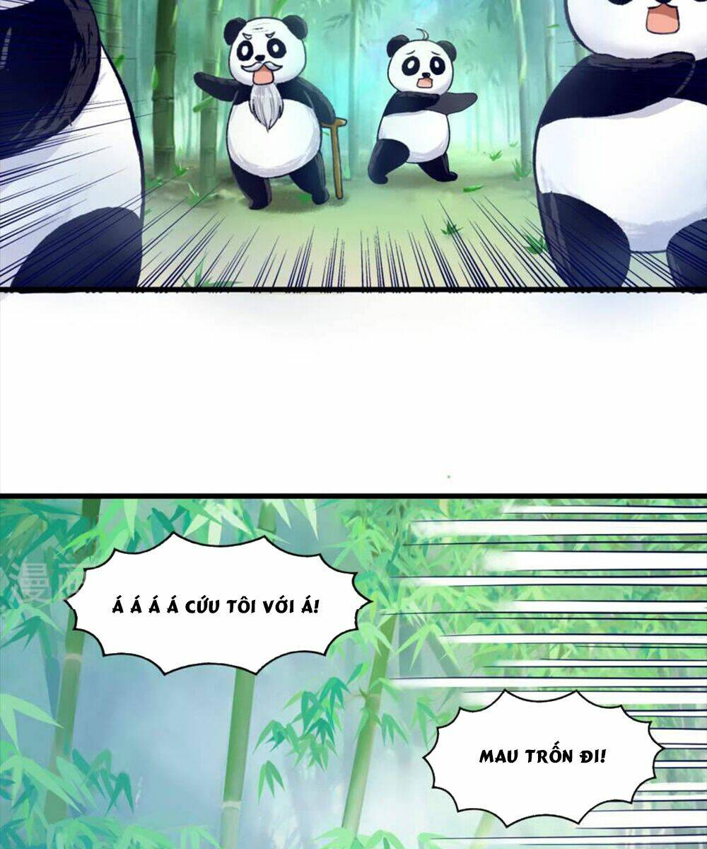 Tôi Bị Gấu Trúc Nhìn Trúng Rồi: Chapter 9