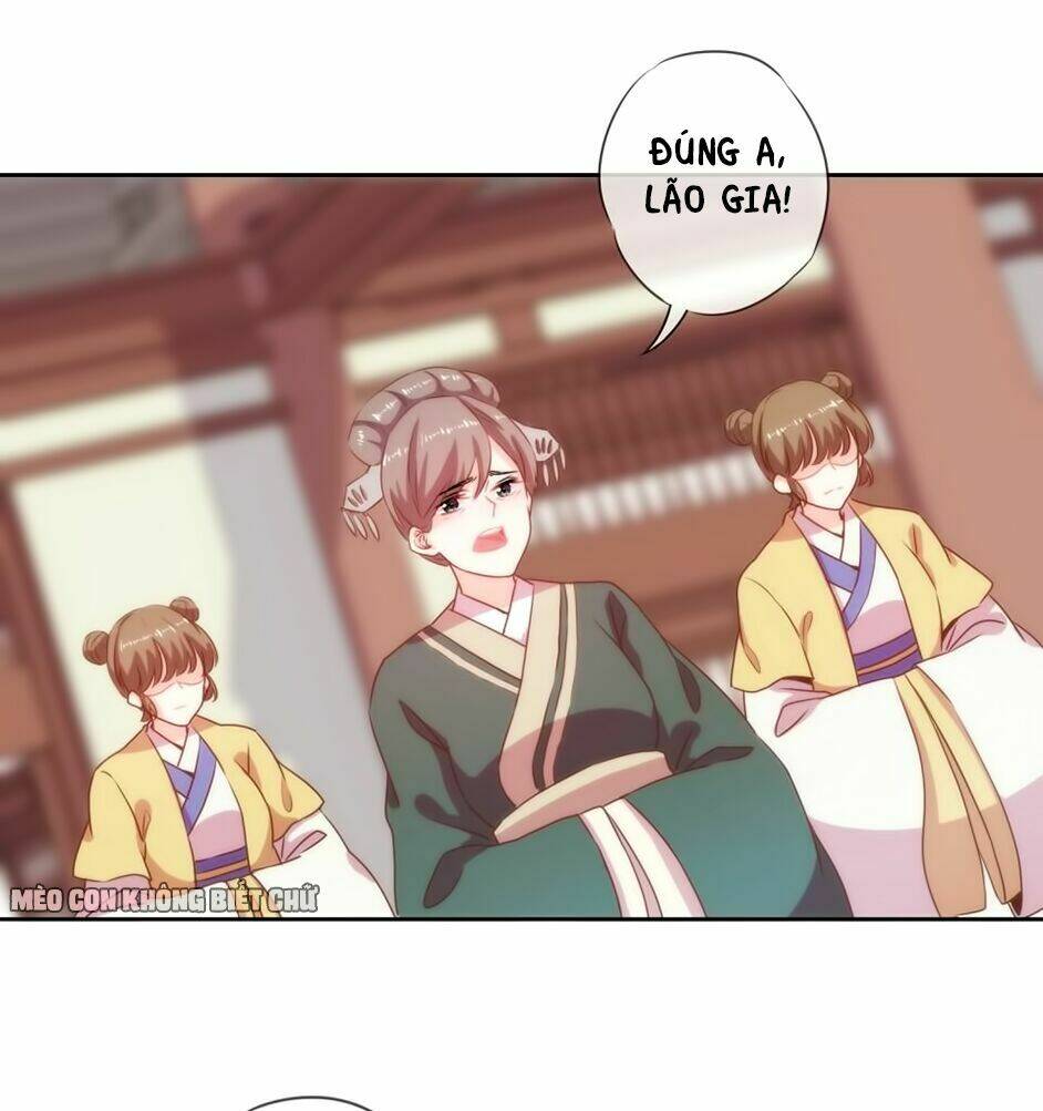 Ồ, Sủng Phi Đại Nhân Của Ta: Chapter 2