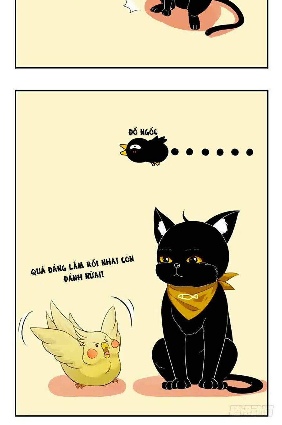 Thâm Hải Chi Ca: Chapter 11