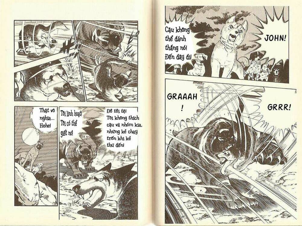 Chú Chó Có Nghĩa - Ginga Nagareboshi Gin: Chapter 10