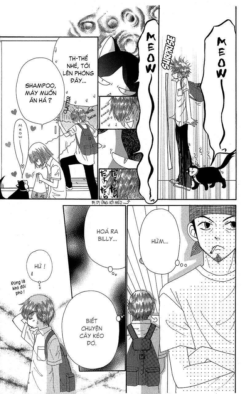 Dự Án Kéo Vàng: Chapter 37