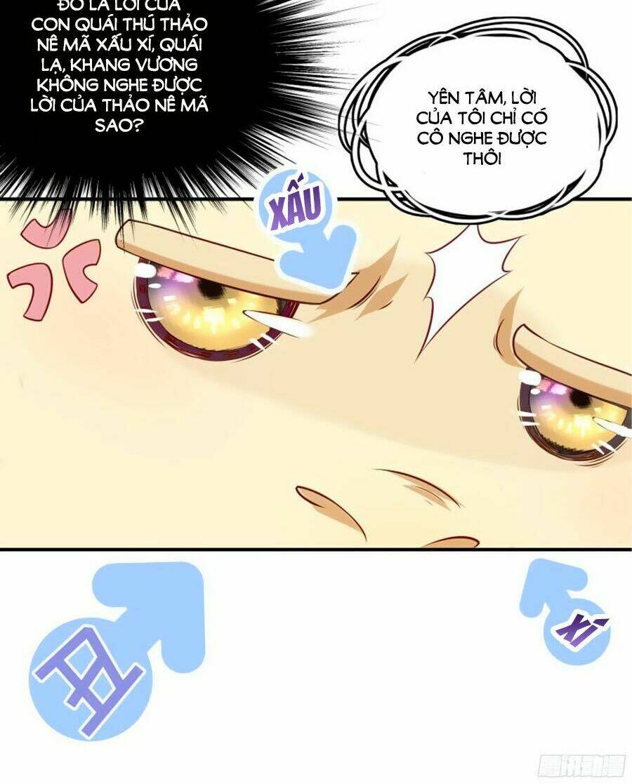 Tiểu Hoàng Thư Và Tiểu Hoàng Thúc: Chapter 2