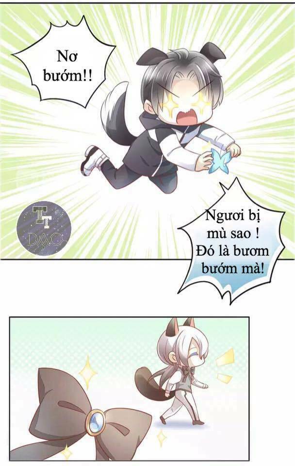 Dưới Móng Vuốt Mèo: Chapter 16