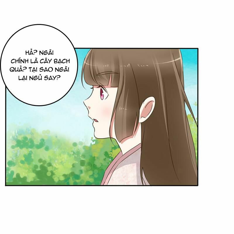 Thông Linh Phi: Chapter 87.5