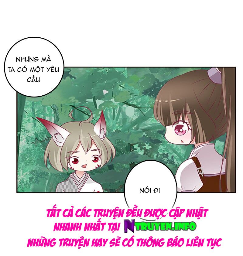 Thông Linh Phi: Chapter 316