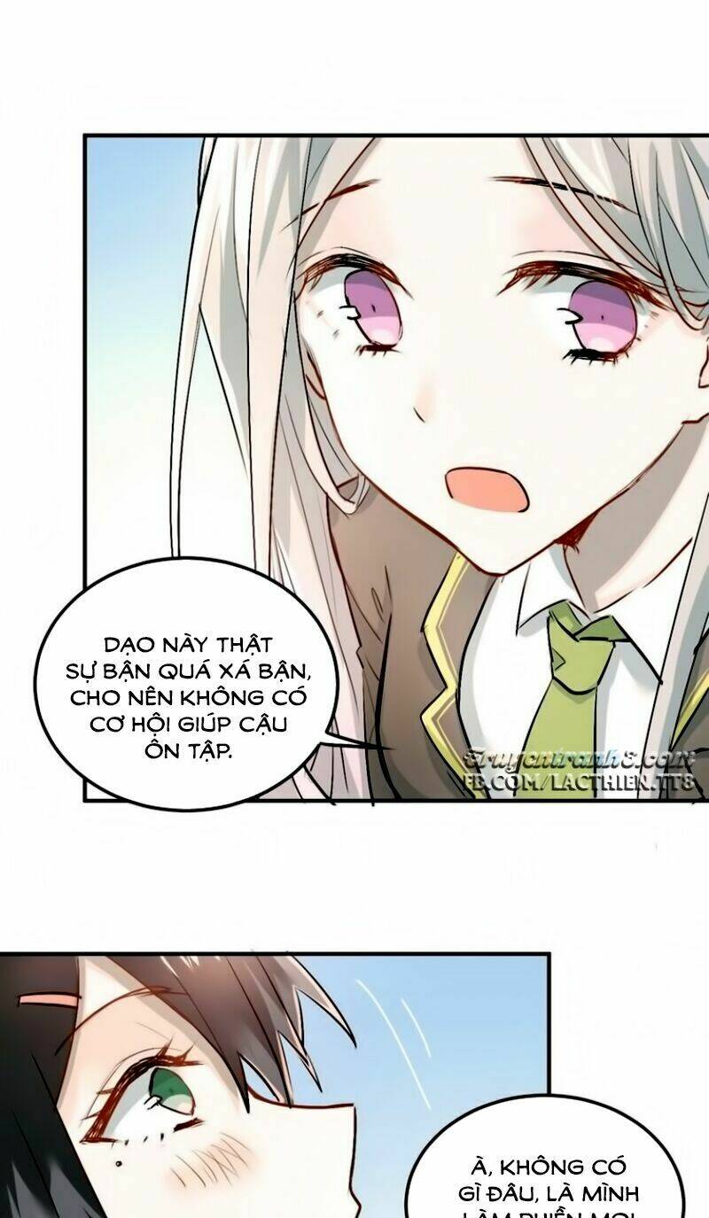 Đầu Gấu Biết Yêu: Chapter 19