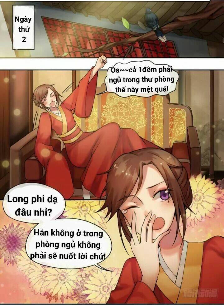 Thiên Tài Tiểu Độc Phi: Chapter 8