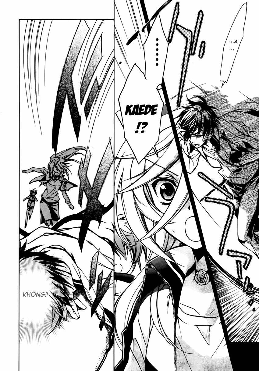 Nụ Hôn Của Công Chúa Tường Vi: Chapter 13