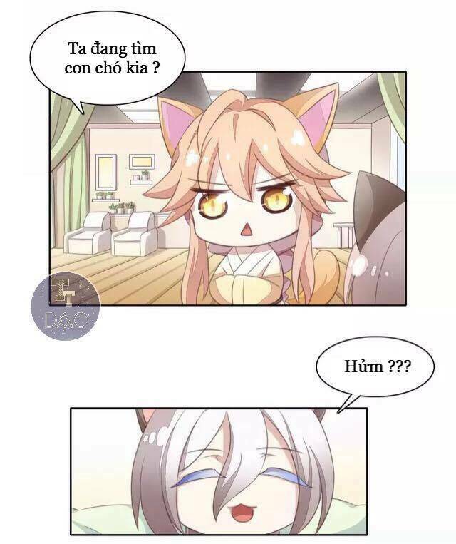 Dưới Móng Vuốt Mèo: Chapter 15