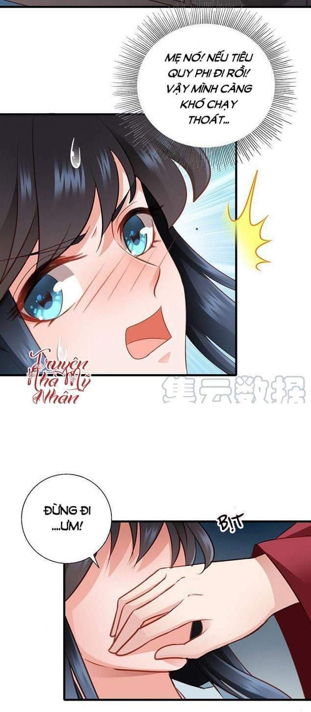 Thái Tử Điện Hạ Có Tin Vui: Chapter 60