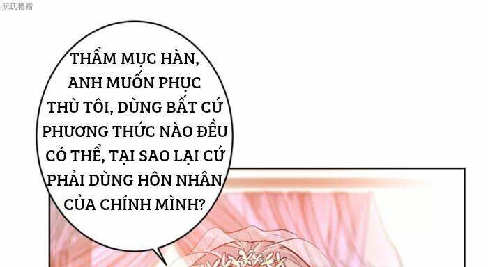 Trọng Sinh Noãn Hôn Khinh Sủng Thê: Chapter 7