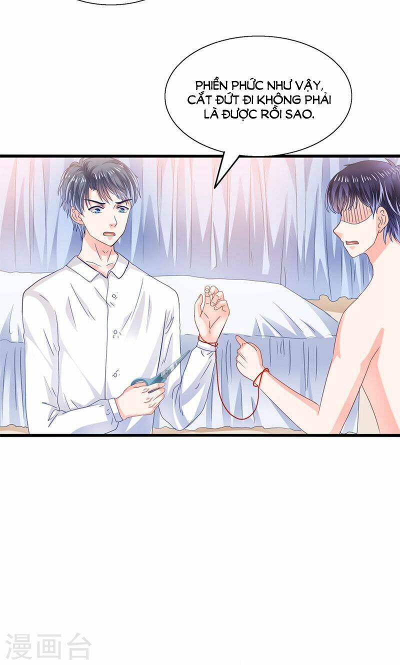 Tôi Bị Gấu Trúc Nhìn Trúng Rồi: Chapter 19