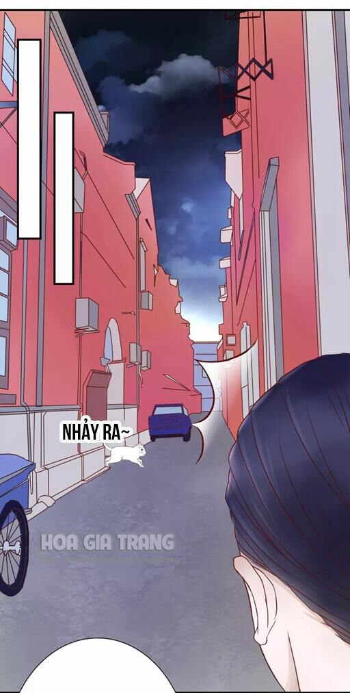 Ở lại thế kỷ này: Chapter 4