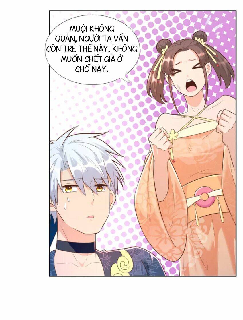 Chí Tôn Trọng Sinh: Chapter 156