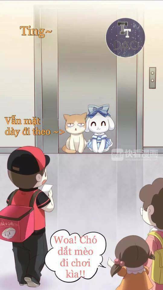 Dưới Móng Vuốt Mèo: Chapter 7