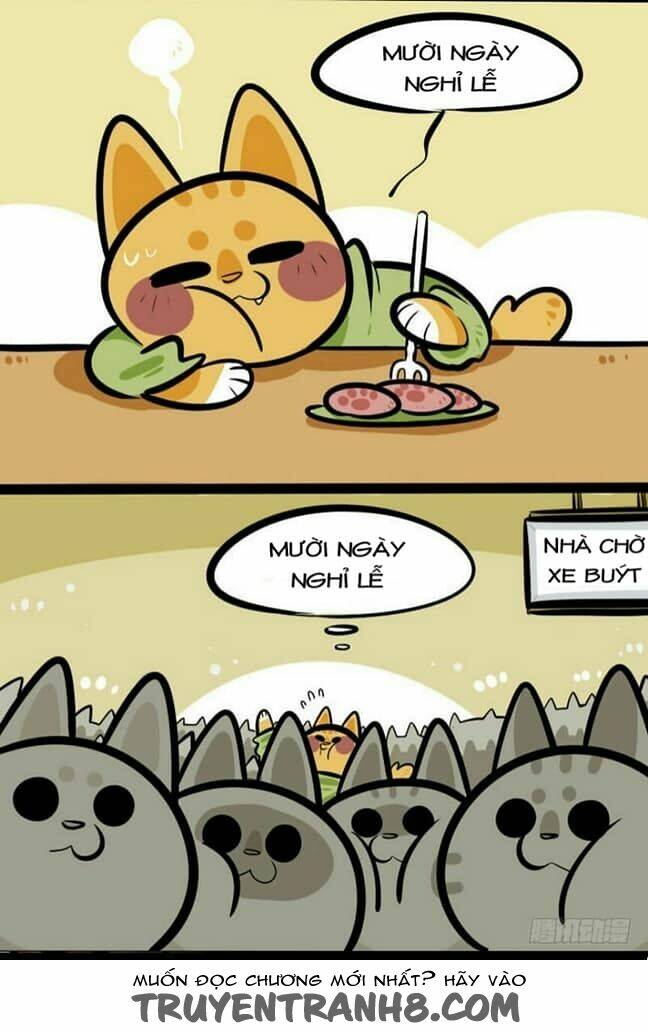 Đời Không Như Mình Tưởng: Chapter 4