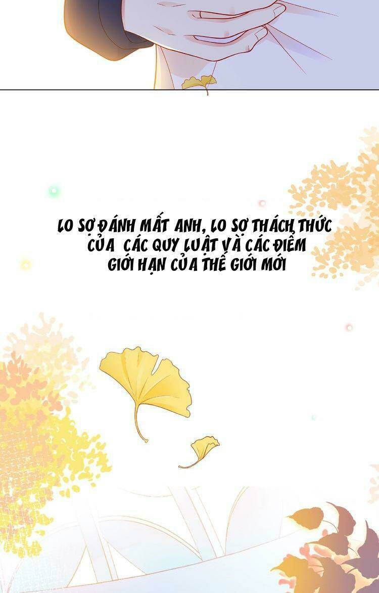 Giai Điệu Của Sự Va Chạm: Chapter 52