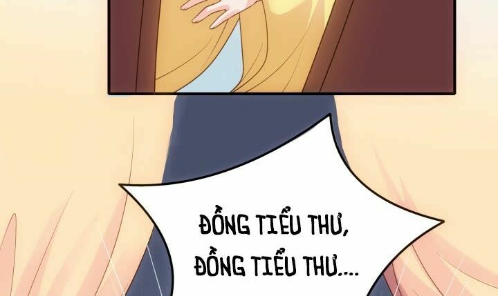 Đô đốc đại nhân sủng thê kí: Chapter 11.1
