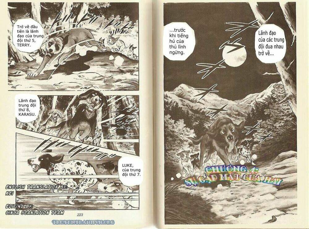 Chú Chó Có Nghĩa - Ginga Nagareboshi Gin: Chapter 11