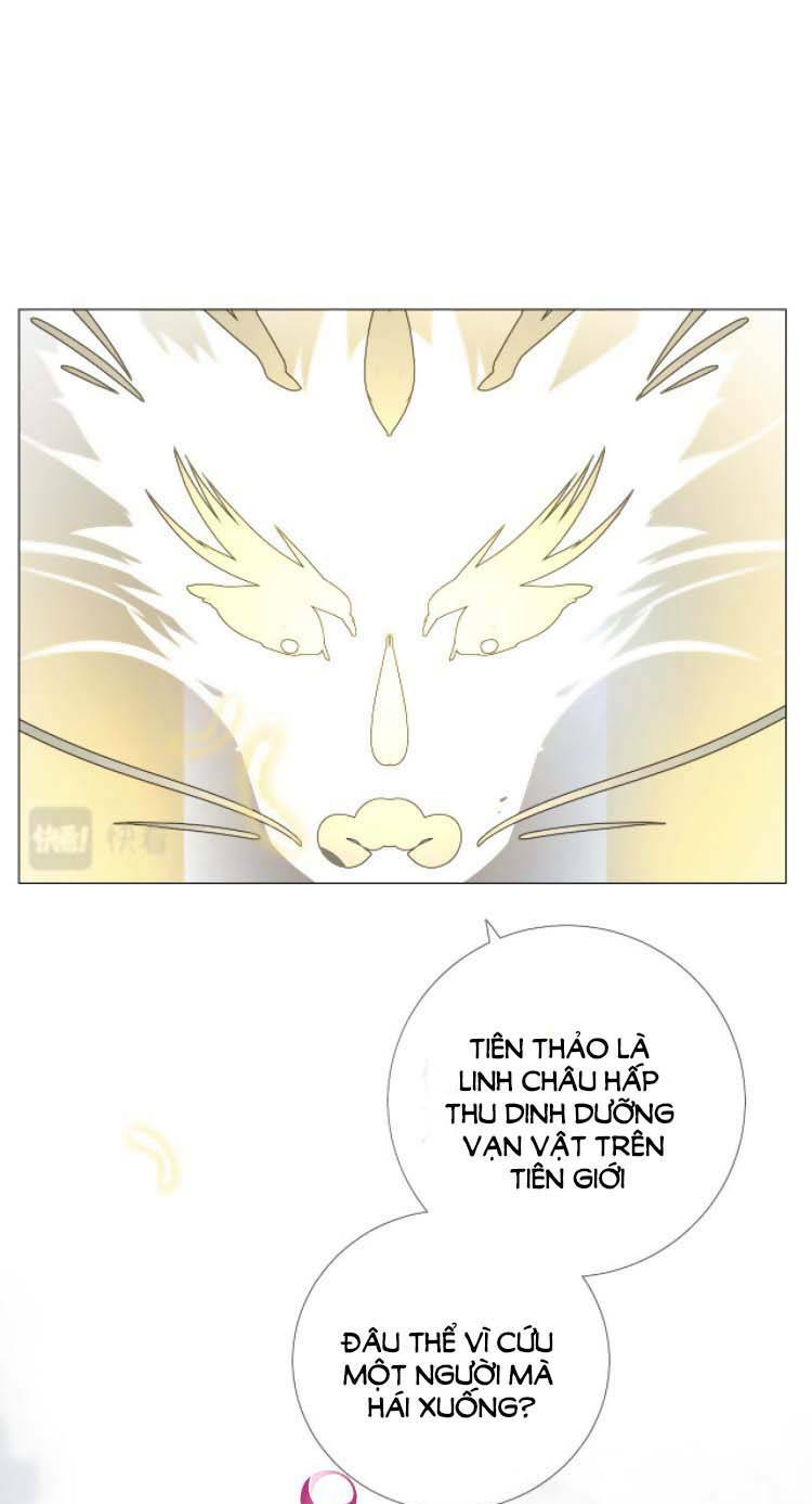 Sao Lại Là Yêu?: Chapter 52