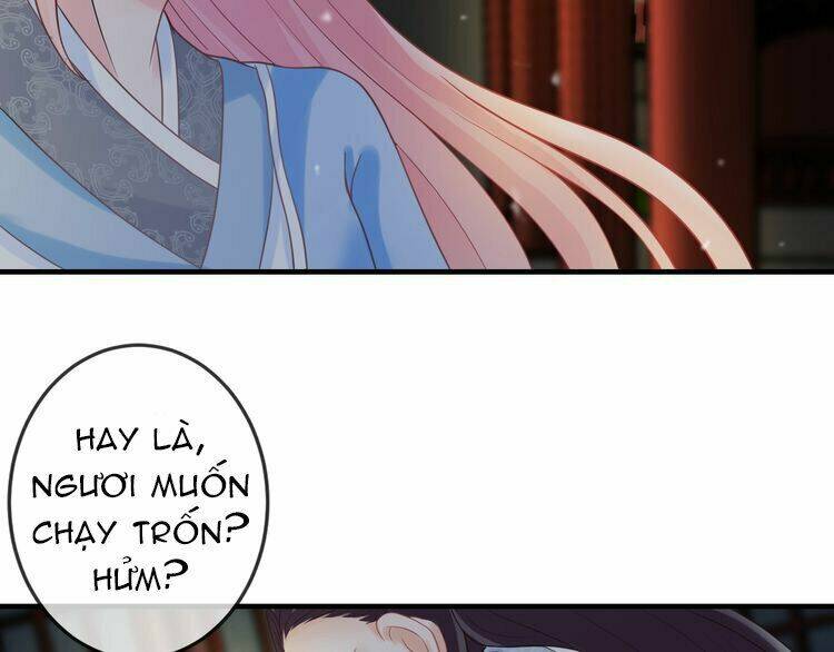 Báo Cáo Vương Gia, Vương Phi Là Một Con Mèo: Chapter 3