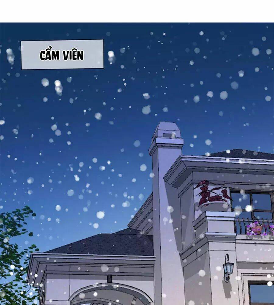 Mỹ Vị Giai Thê: Chapter 67