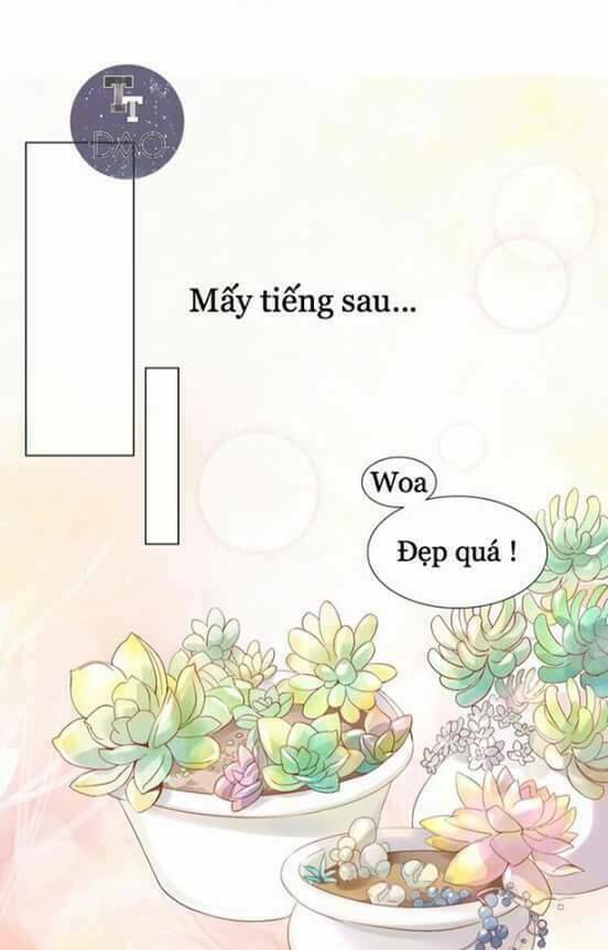 Dưới Móng Vuốt Mèo: Chapter 2