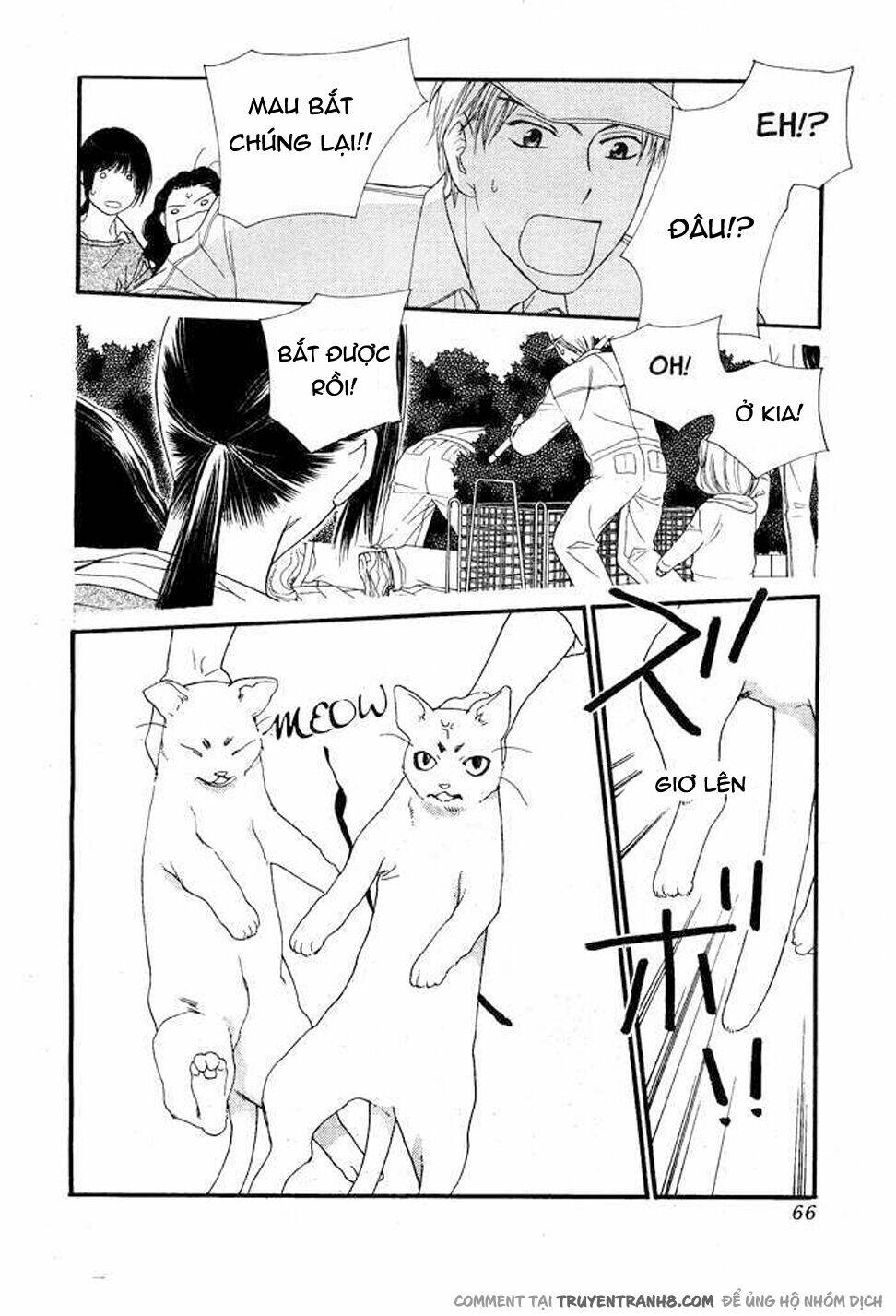 Orange Chocolate: Chapter 8