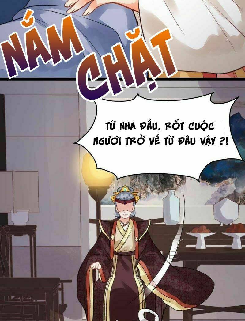 Thịnh Sủng Kiều Nữ Trở Về Triều Ca: Chapter 7