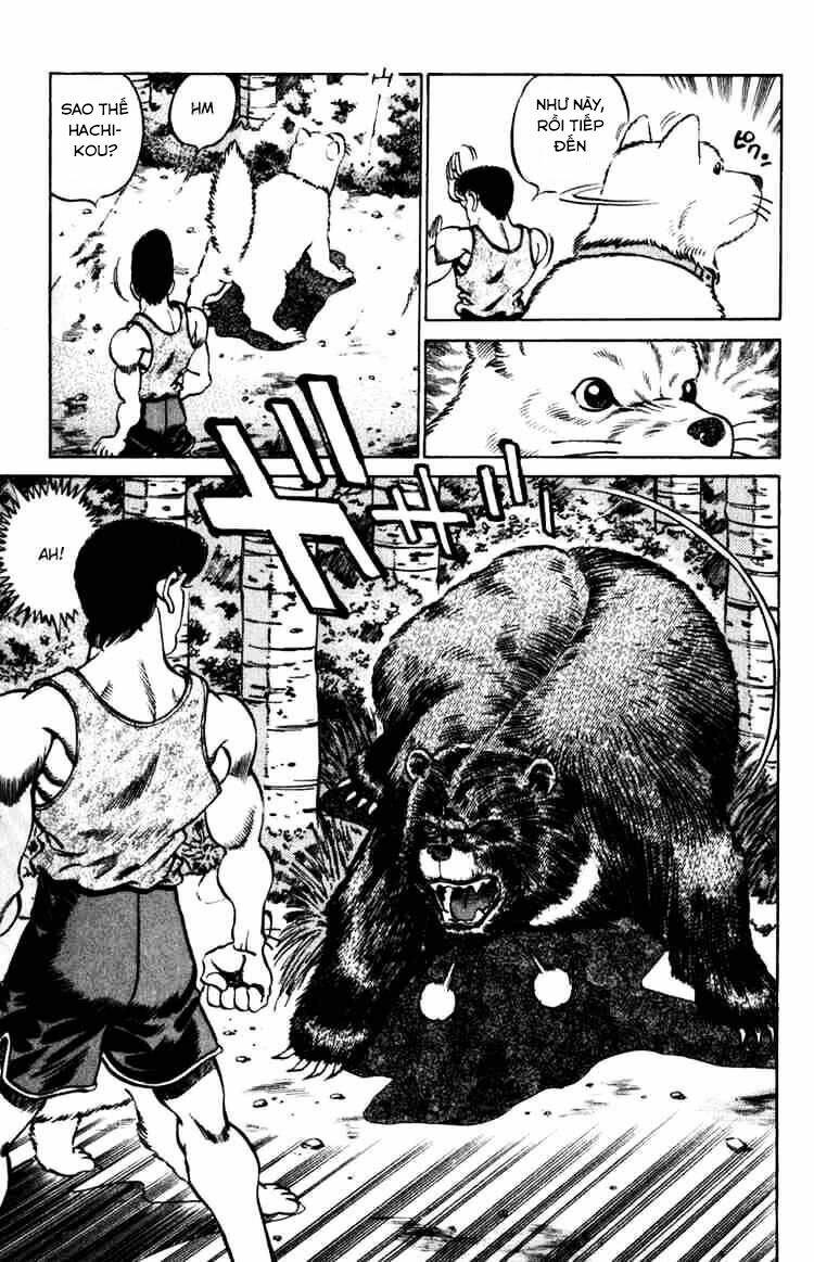 Võ Sĩ Quyền Anh Ippo: Chapter 229