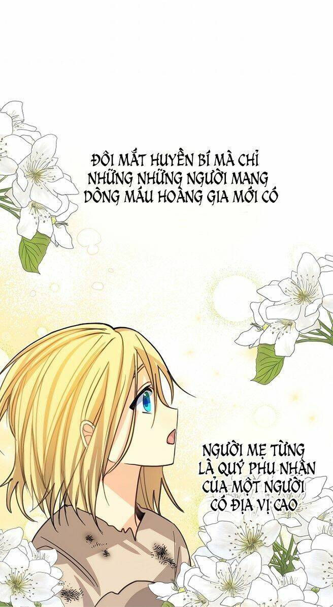 Ba Người Anh Trai Của Tôi Là Bạo Quân: Chapter 5