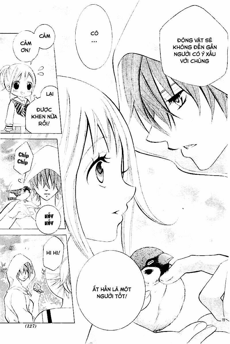 Cuộc Gặp Gỡ Diệu Kỳ: Chapter 28