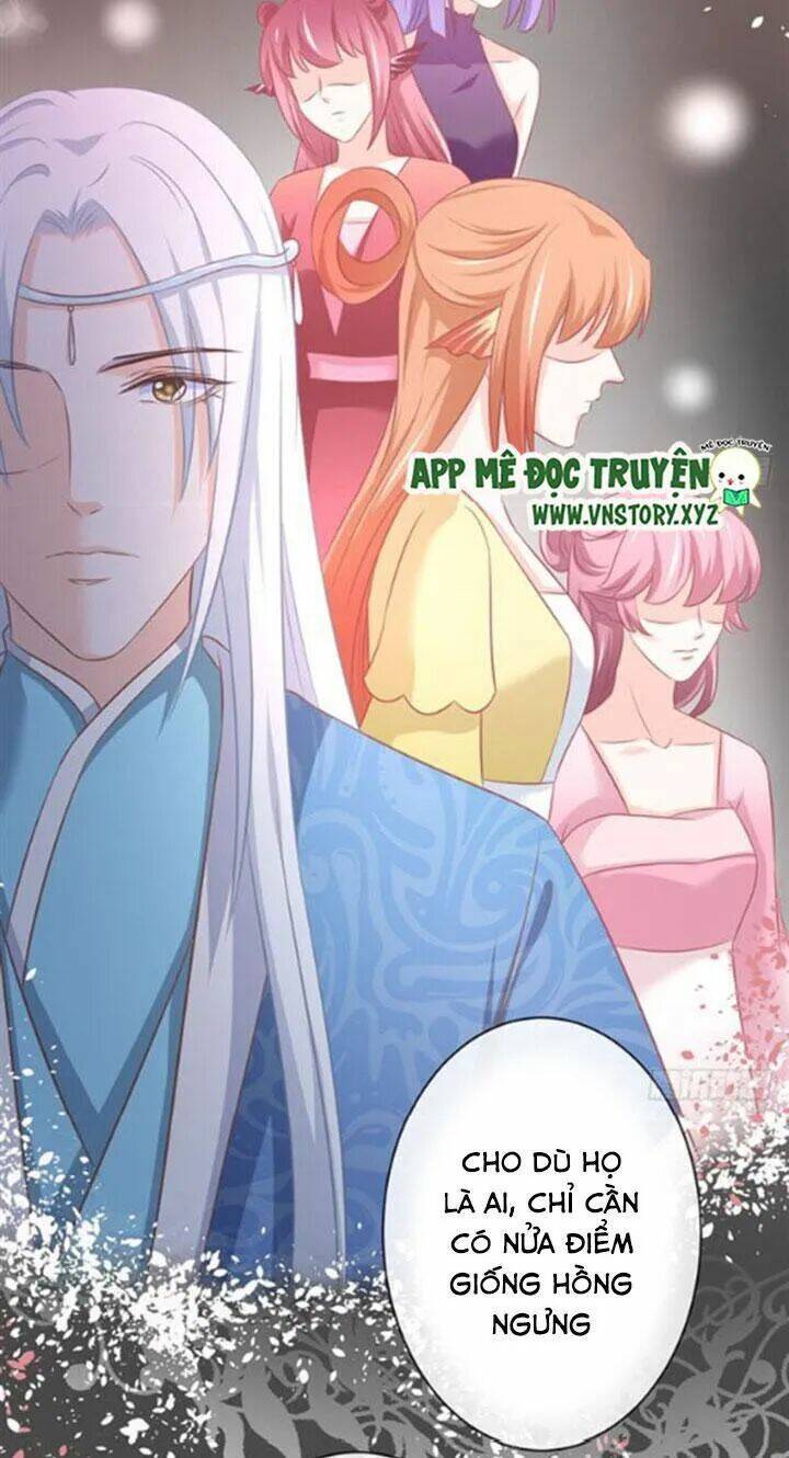 Cẩm Lý Thiếu Nữ Của Tôi: Chapter 68