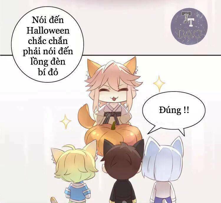 Dưới Móng Vuốt Mèo: Chapter 18
